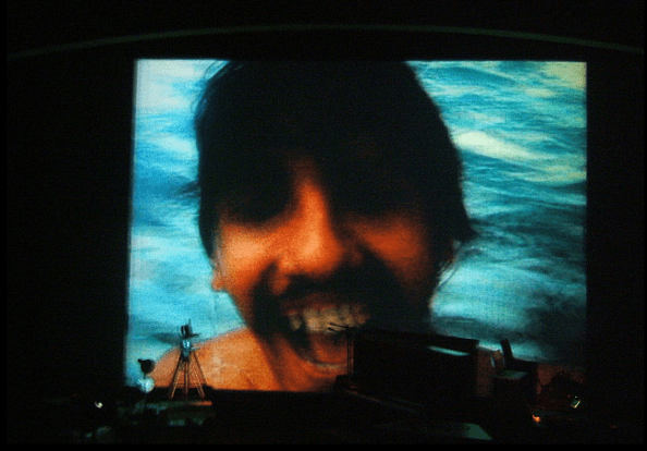 farfallaori foto fredo suiche 2